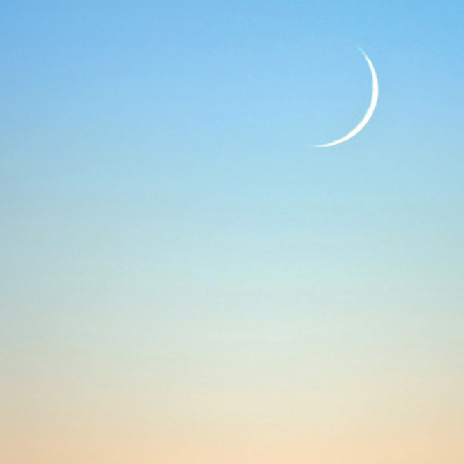 惹かれあう想い